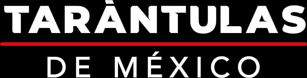 Tarántulas de México